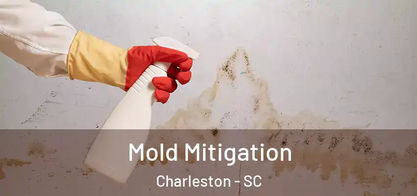 Mold Mitigation Charleston - SC
