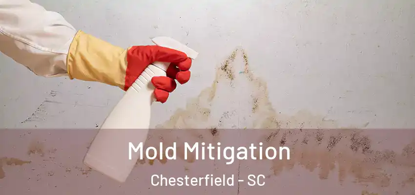  Mold Mitigation Chesterfield - SC