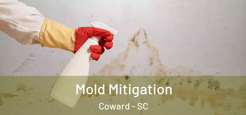  Mold Mitigation Coward - SC