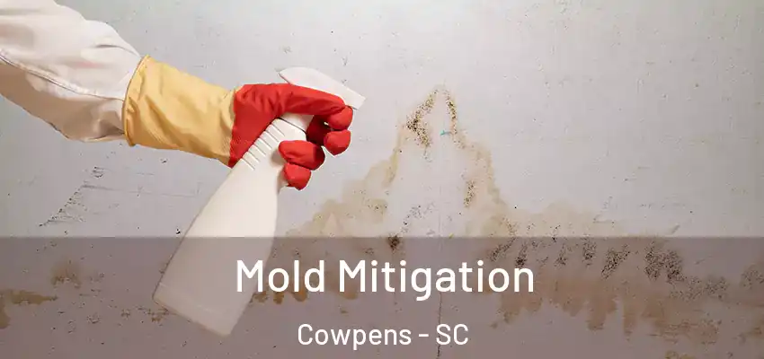 Mold Mitigation Cowpens - SC
