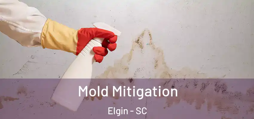  Mold Mitigation Elgin - SC