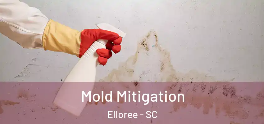  Mold Mitigation Elloree - SC