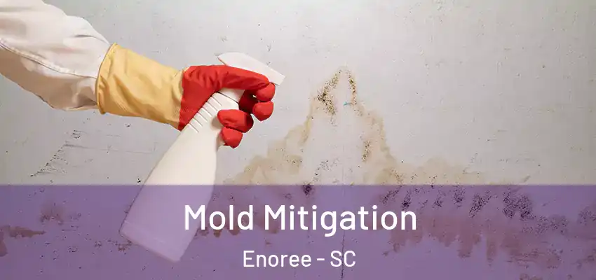  Mold Mitigation Enoree - SC