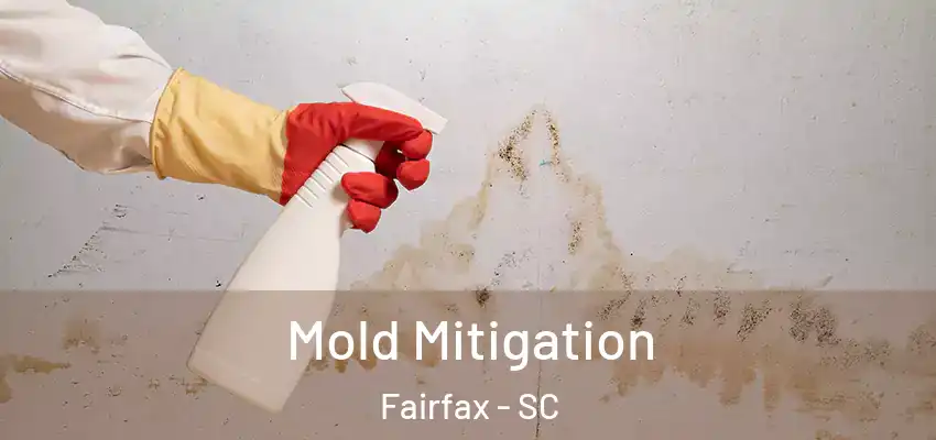 Mold Mitigation Fairfax - SC