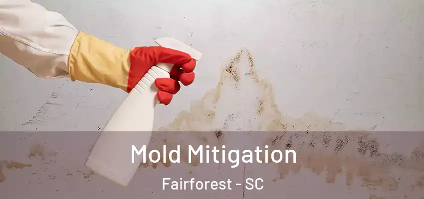 Mold Mitigation Fairforest - SC