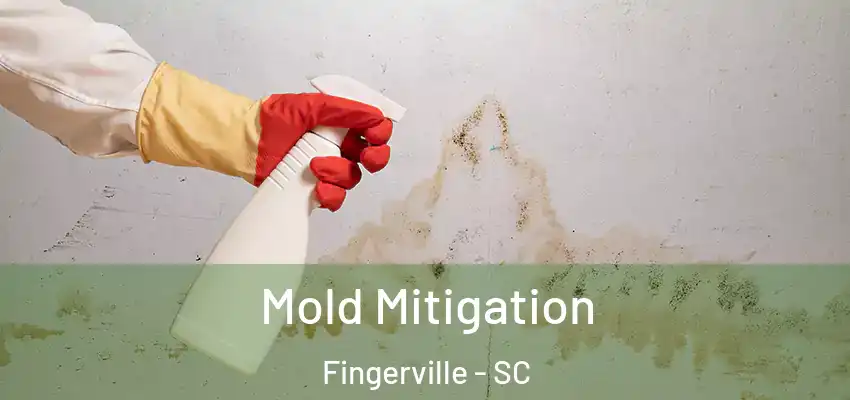  Mold Mitigation Fingerville - SC