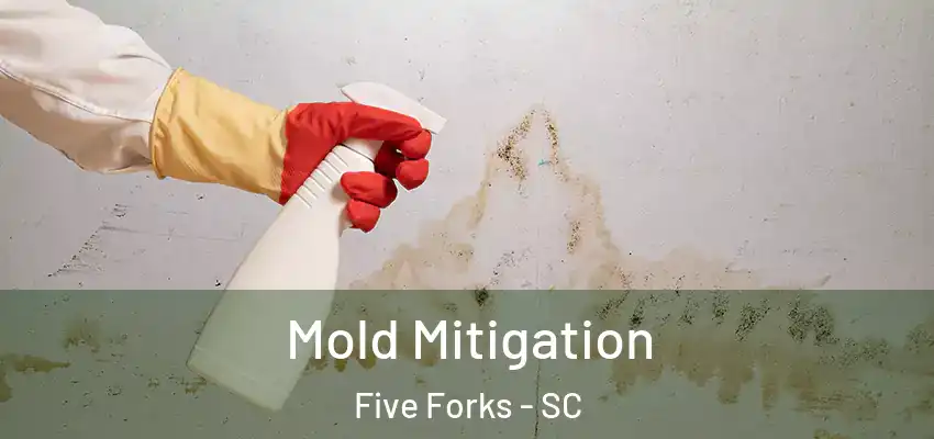  Mold Mitigation Five Forks - SC