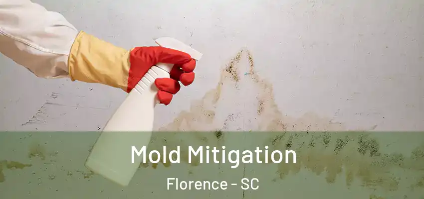  Mold Mitigation Florence - SC