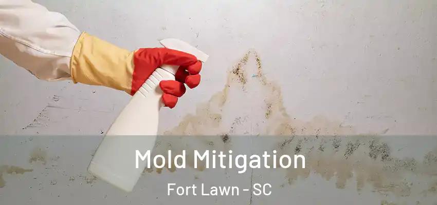 Mold Mitigation Fort Lawn - SC