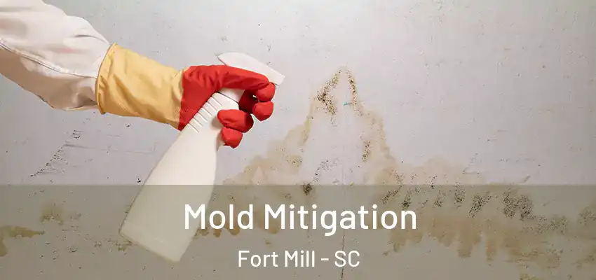 Mold Mitigation Fort Mill - SC