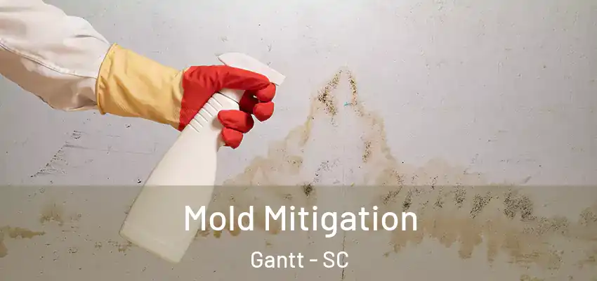 Mold Mitigation Gantt - SC