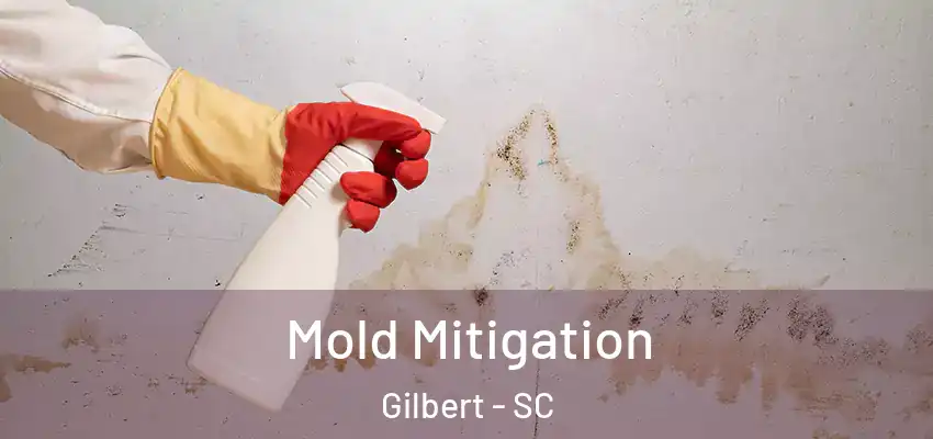  Mold Mitigation Gilbert - SC