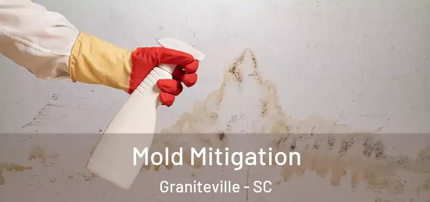 Mold Mitigation Graniteville - SC