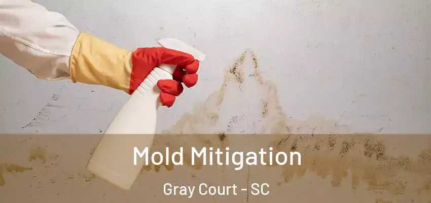 Mold Mitigation Gray Court - SC