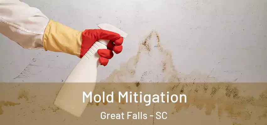  Mold Mitigation Great Falls - SC