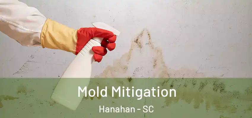  Mold Mitigation Hanahan - SC