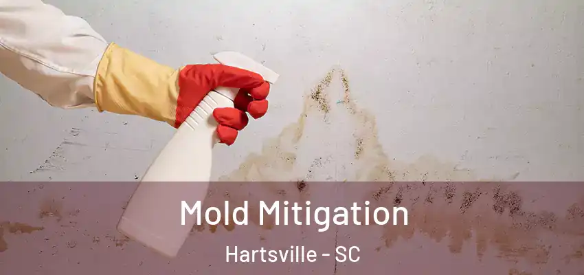 Mold Mitigation Hartsville - SC