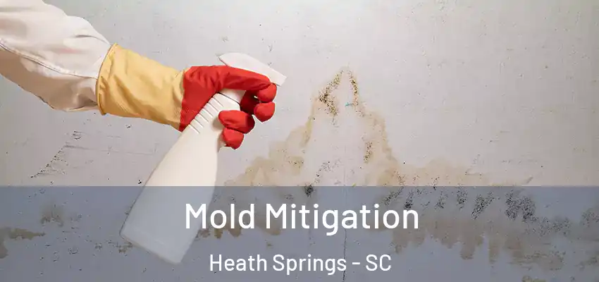  Mold Mitigation Heath Springs - SC