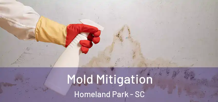  Mold Mitigation Homeland Park - SC