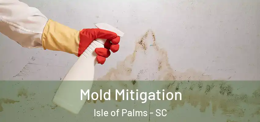  Mold Mitigation Isle of Palms - SC