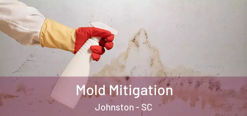  Mold Mitigation Johnston - SC