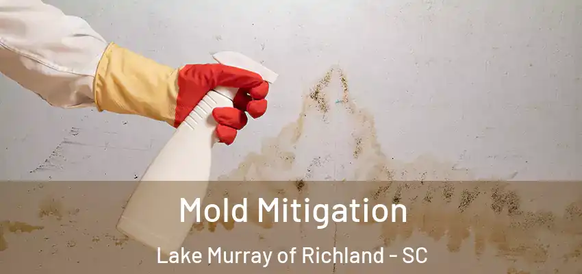 Mold Mitigation Lake Murray of Richland - SC