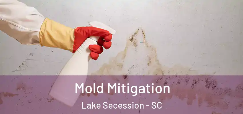 Mold Mitigation Lake Secession - SC
