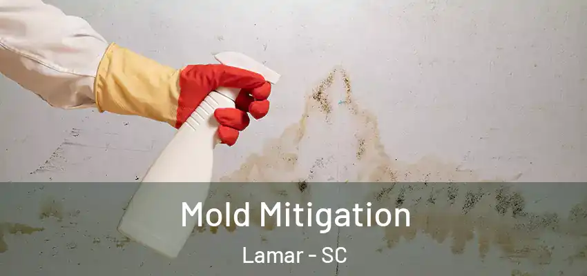  Mold Mitigation Lamar - SC