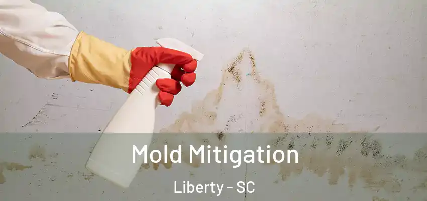 Mold Mitigation Liberty - SC