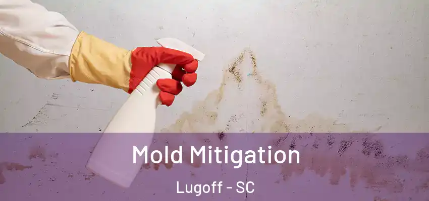  Mold Mitigation Lugoff - SC