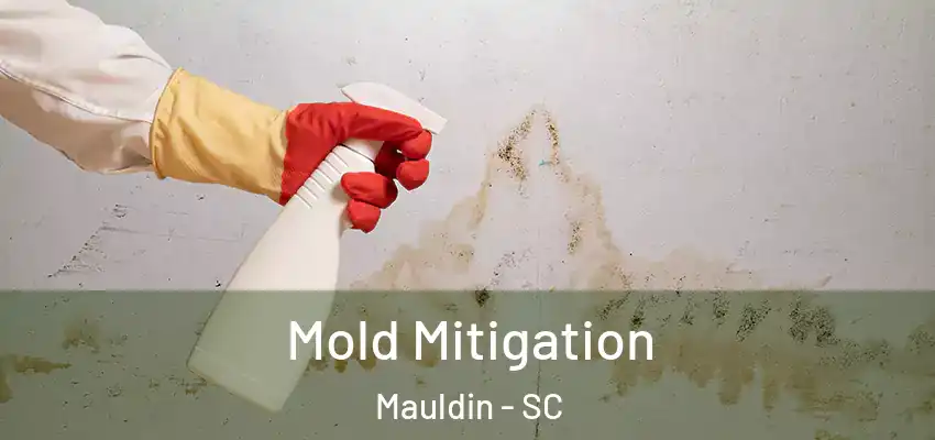  Mold Mitigation Mauldin - SC