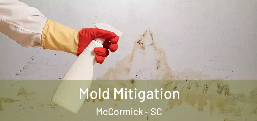  Mold Mitigation McCormick - SC