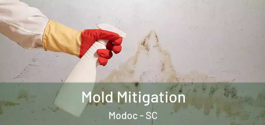  Mold Mitigation Modoc - SC