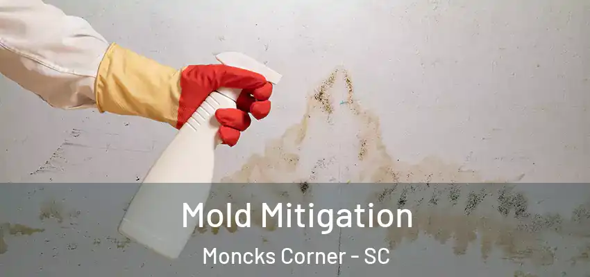  Mold Mitigation Moncks Corner - SC