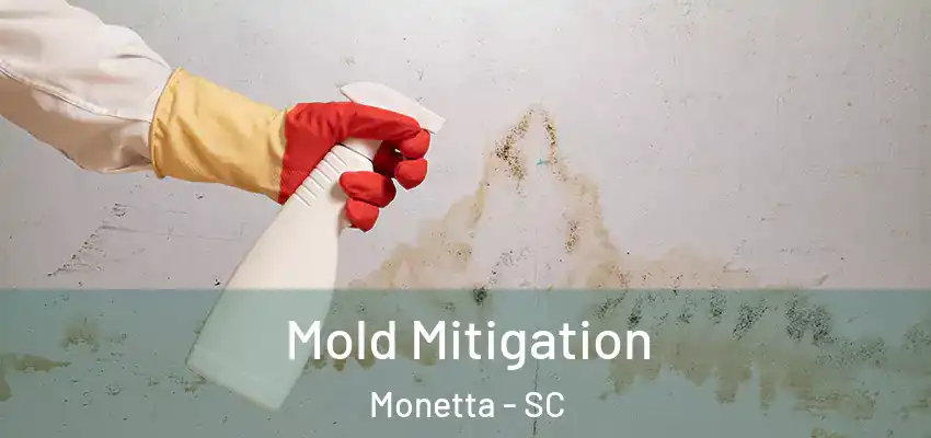  Mold Mitigation Monetta - SC