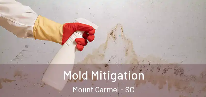Mold Mitigation Mount Carmel - SC