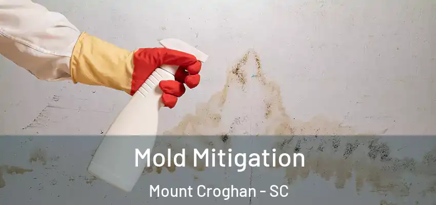  Mold Mitigation Mount Croghan - SC
