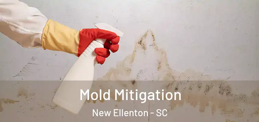 Mold Mitigation New Ellenton - SC