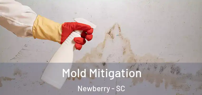 Mold Mitigation Newberry - SC