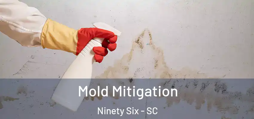  Mold Mitigation Ninety Six - SC