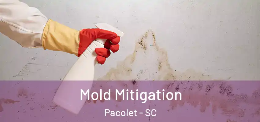  Mold Mitigation Pacolet - SC