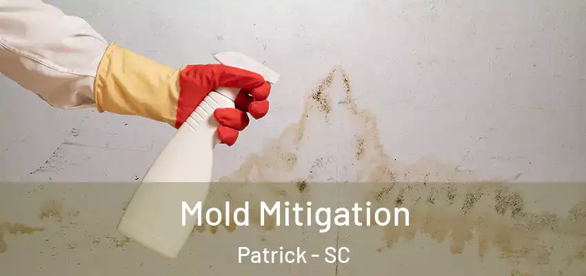  Mold Mitigation Patrick - SC