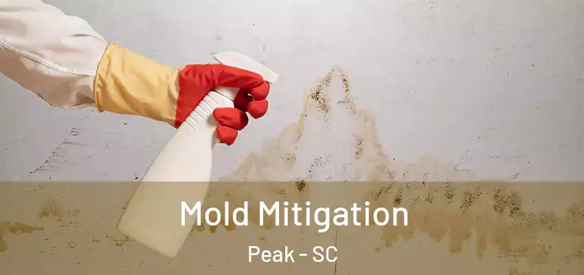  Mold Mitigation Peak - SC