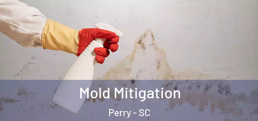  Mold Mitigation Perry - SC