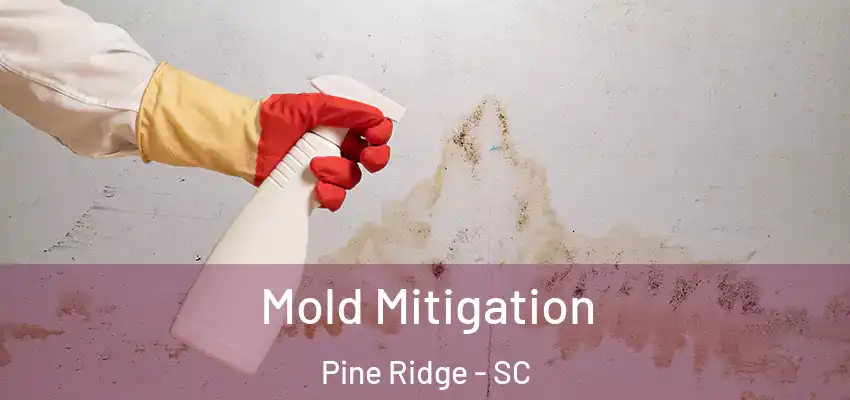  Mold Mitigation Pine Ridge - SC