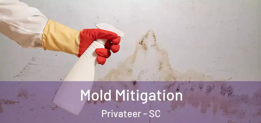  Mold Mitigation Privateer - SC