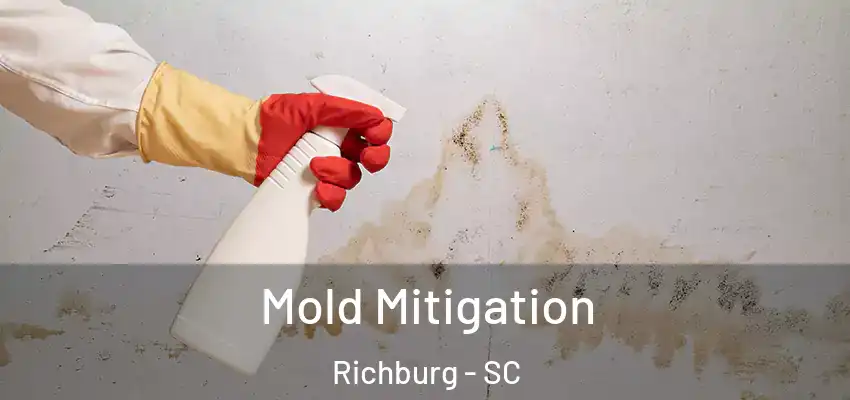  Mold Mitigation Richburg - SC