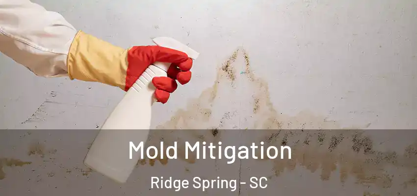  Mold Mitigation Ridge Spring - SC