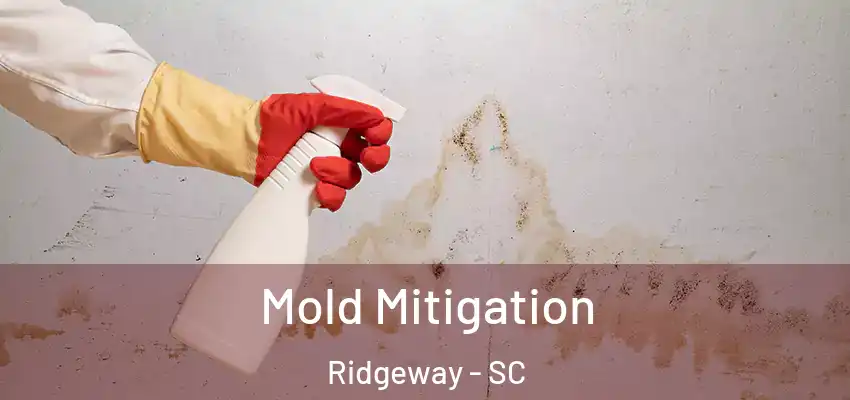  Mold Mitigation Ridgeway - SC