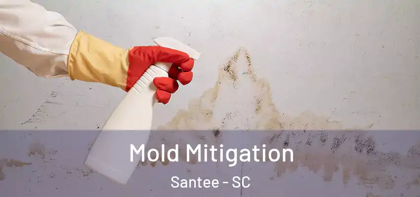  Mold Mitigation Santee - SC